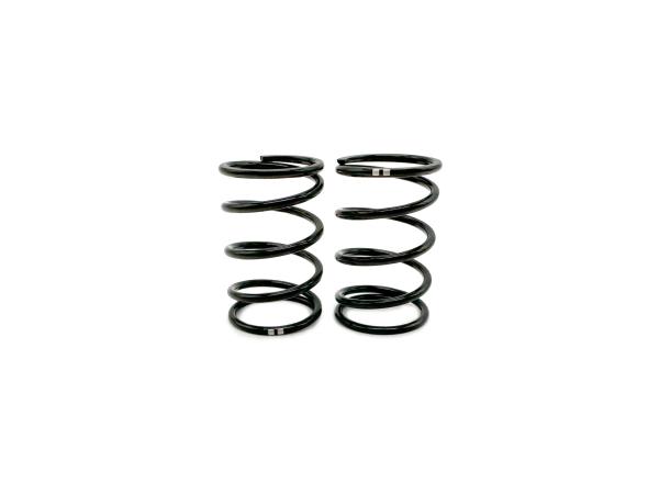 SWORKz GT Black Competition Feder Stoßdämpfer A2 (40x2.2x5.25)(GN)(2)